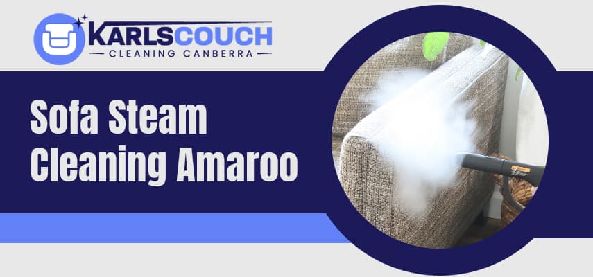 Best Sofa Steam Cleaning Services