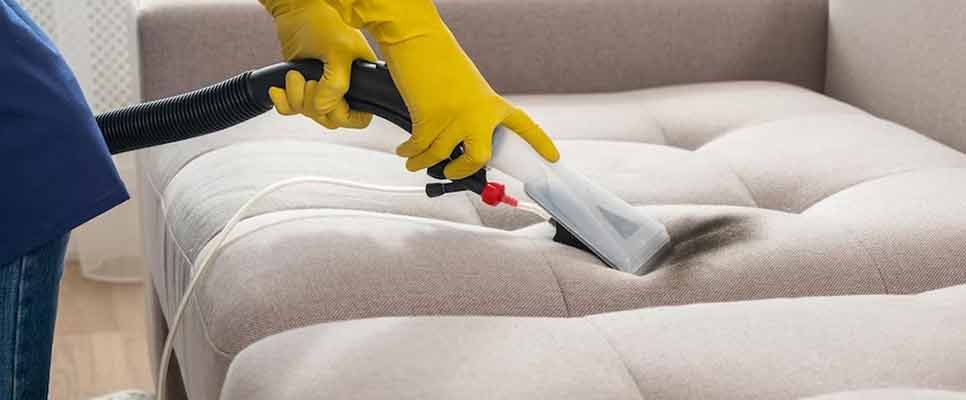 Upholstery Cleaning Curtin